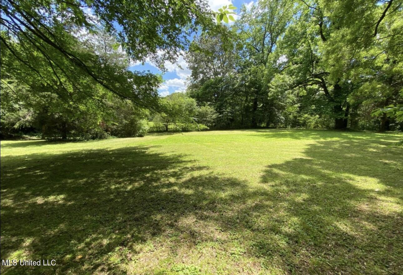 2765 Nesbit Road Nesbit, MS 38651 - Photo 14 of 14 IMG_5002