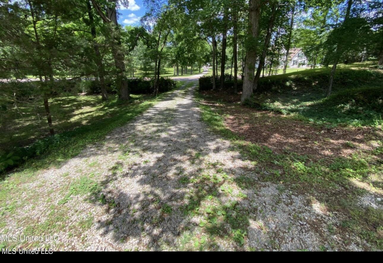 2765 Nesbit Road Nesbit, MS 38651 - Photo 6 of 14 IMG_4992