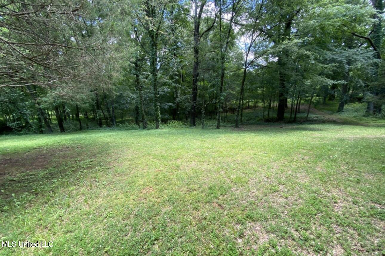 2765 Nesbit Road Nesbit, MS 38651 - Photo 8 of 14 IMG_4994