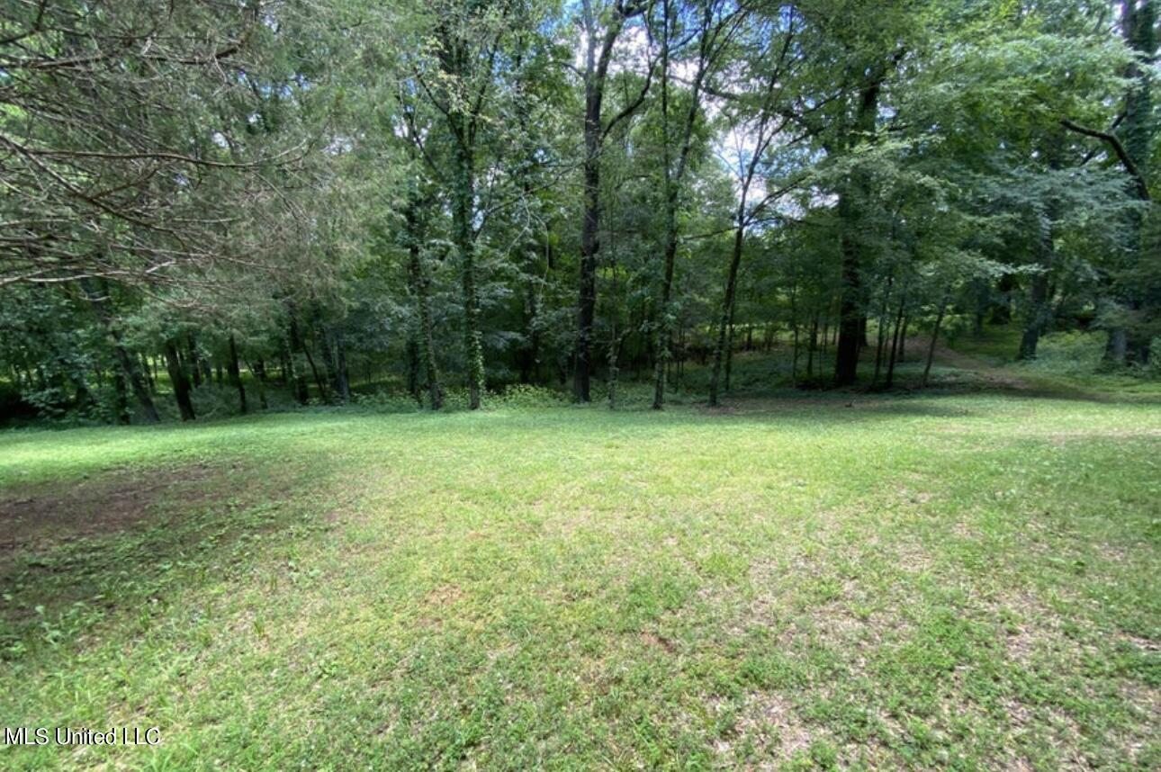 2765 Nesbit Road Nesbit, MS 38651 - Photo 9 of 14 IMG_4995