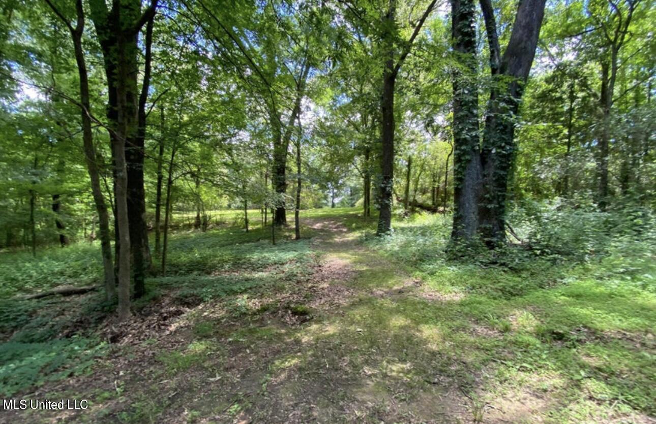 2765 Nesbit Road Nesbit, MS 38651 - Photo 10 of 14 IMG_4996