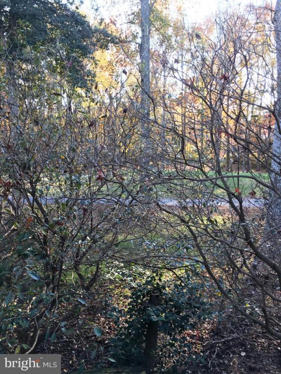 32 Battersea Road Berlin, MD 21811 - Photo 30 of 39