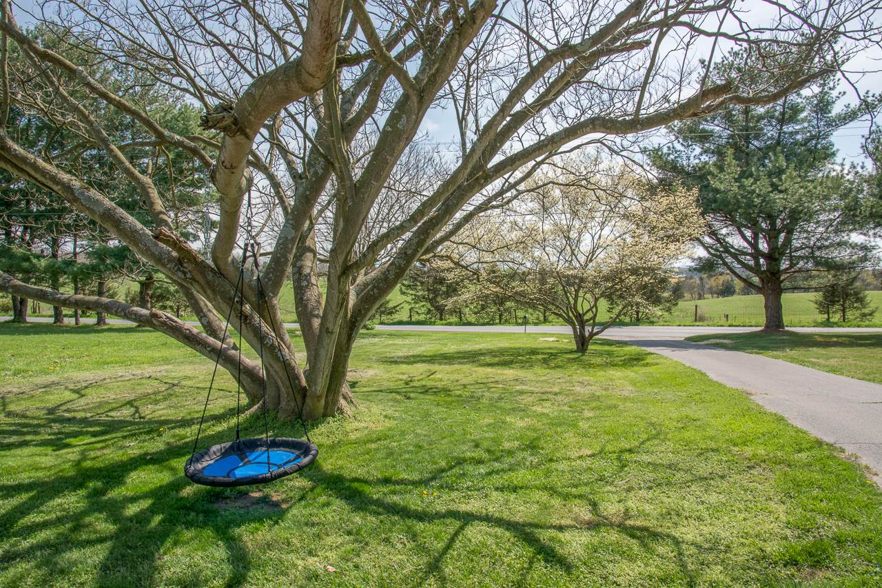 1982 Knightly Mill Road Fort Defiance, VA 24437 - Photo 25 of 31 a view of a garden with trees