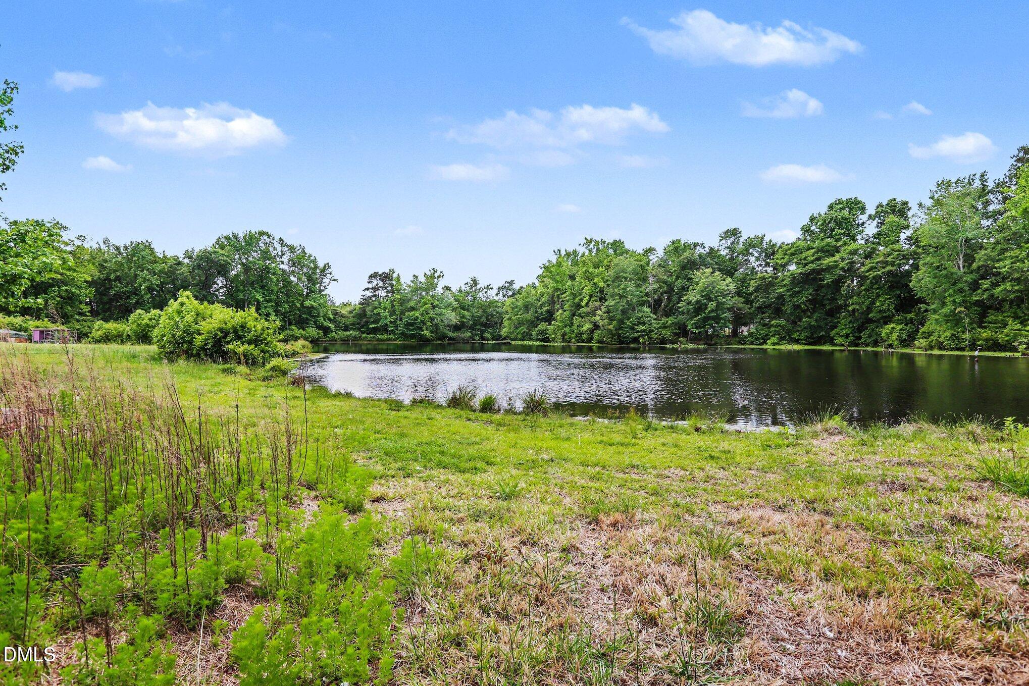 6725 Wimberly Road Willow Spring, NC 27592 - Photo 5 of 29 027_file_3271