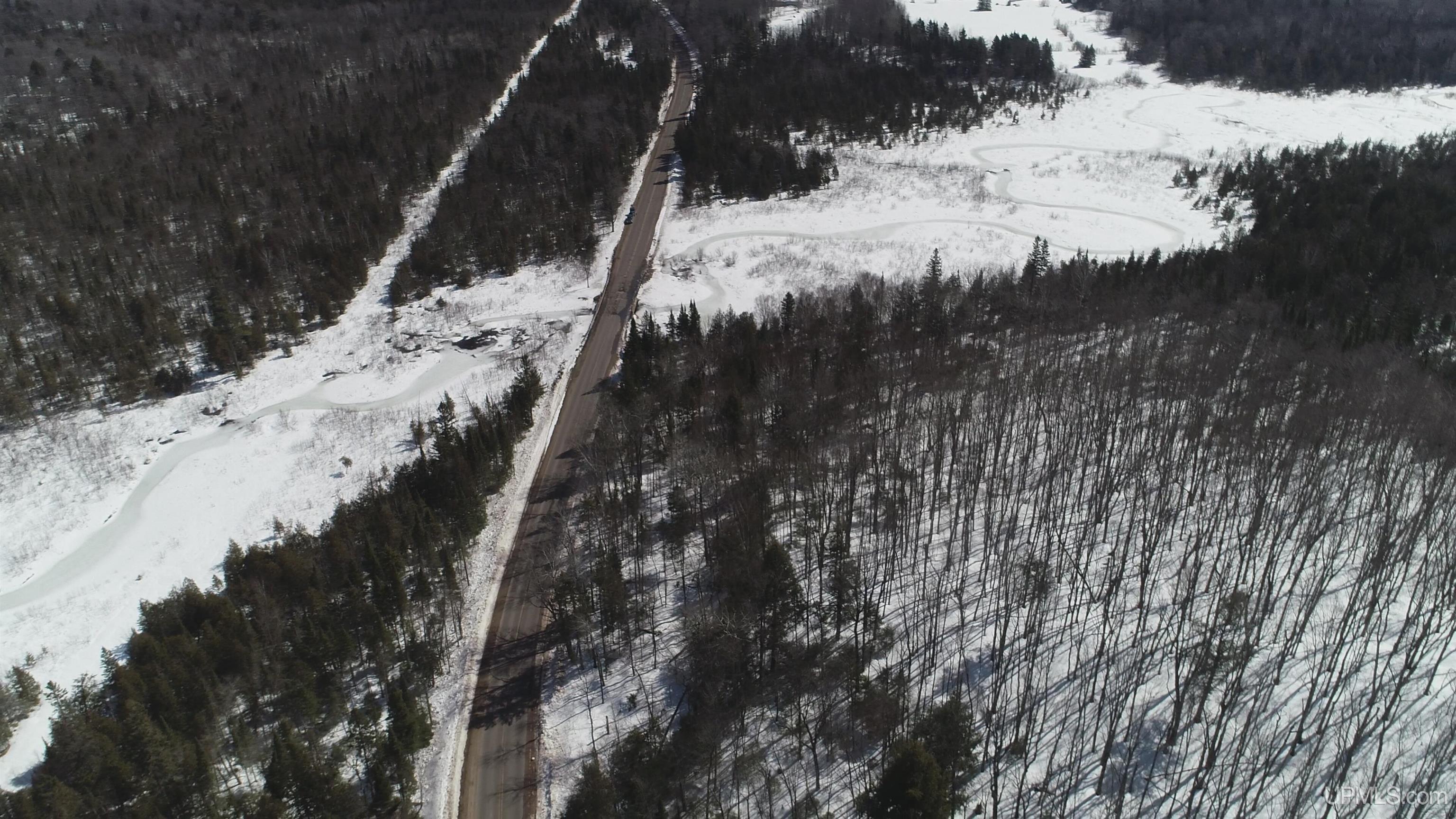 40-acres Little Lake Road Gwinn, MI 49841 - Photo 9 of 25