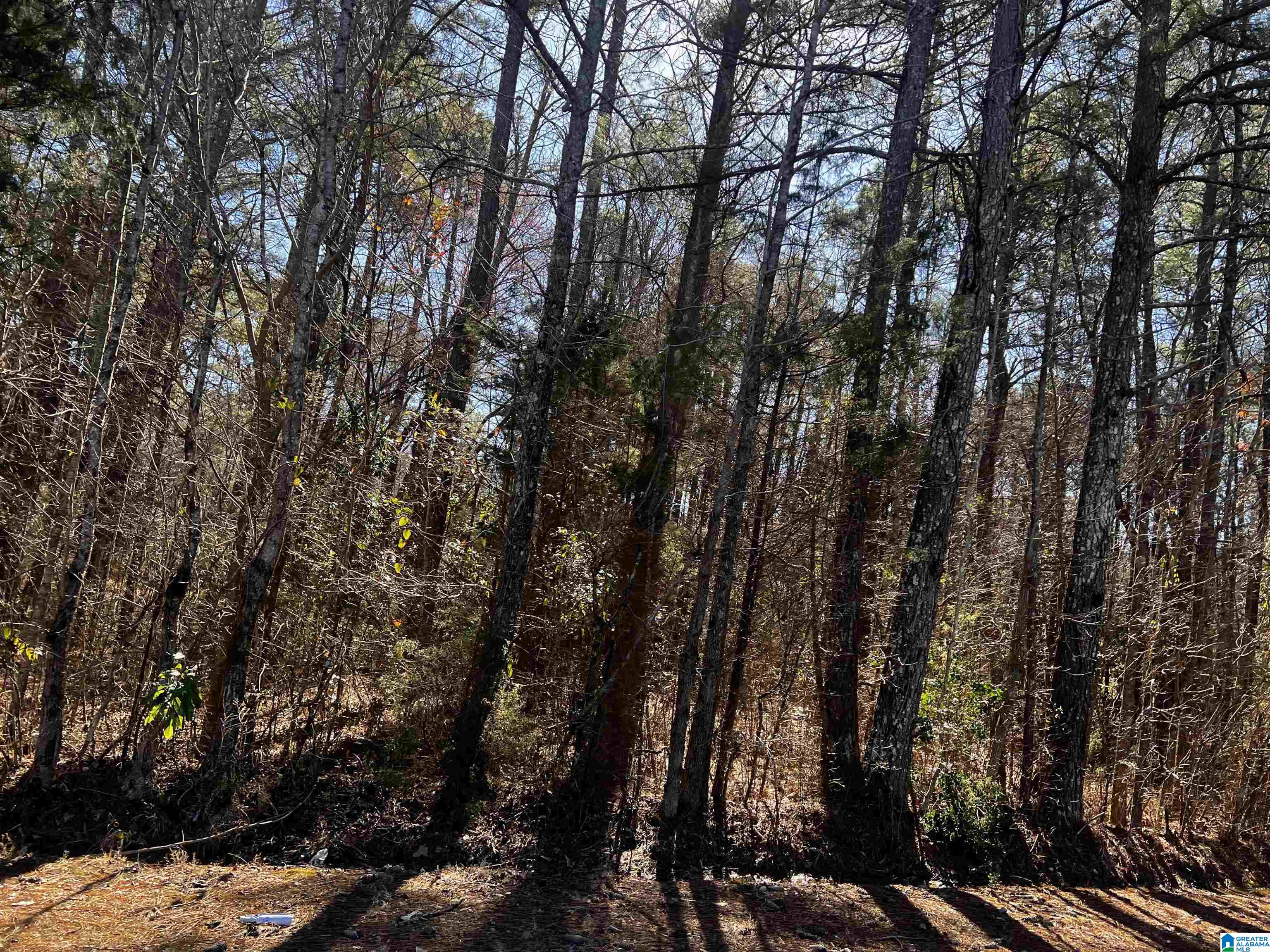 0 Wolf Creek Road North, Unit 10 ACRES Pell City, AL 35125 - Photo 11 of 15