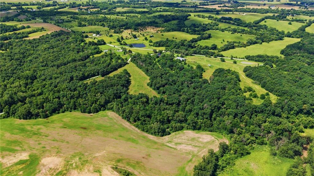 Faulk Road Purdin, MO 64674 - Photo 11 of 14