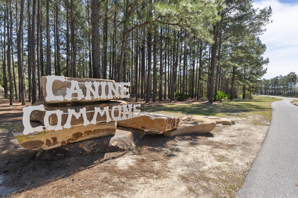 174 Revana Way Freeport, FL 32439 - Photo 111 of 127 100_1