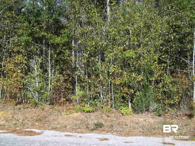 962 West State Line Road Flomaton, AL 36441 - Photo 12 of 16