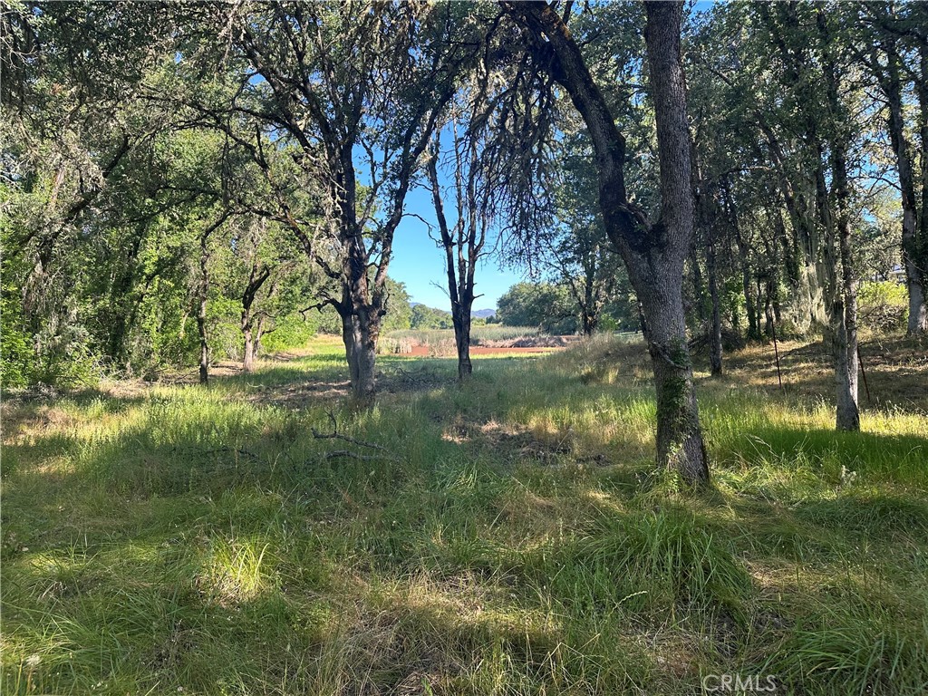 2995 Hill Road Lakeport, CA 95453 - Photo 3 of 12