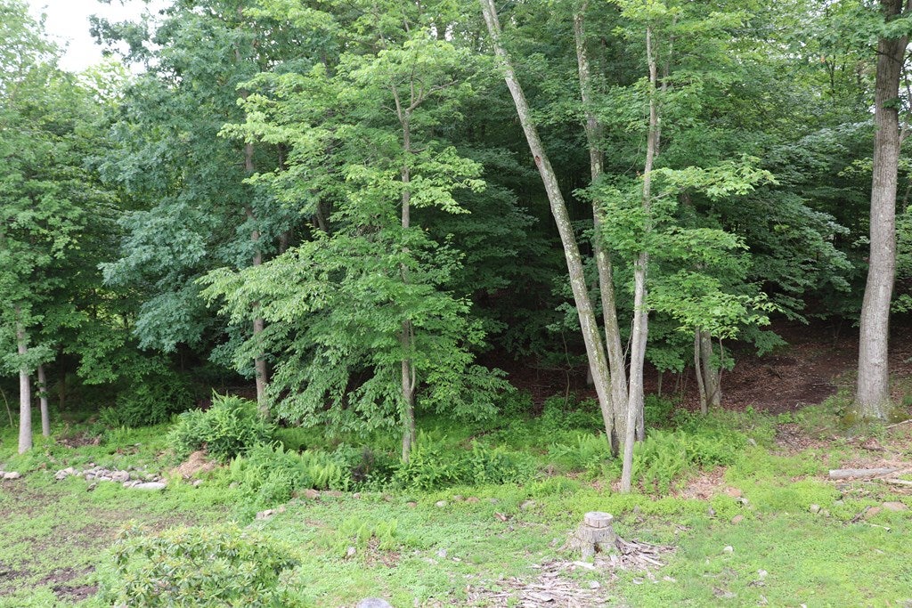 2911 Chapel Hill Road Huntingdon, PA 16652 - Photo 16 of 38 Gallery Image 16