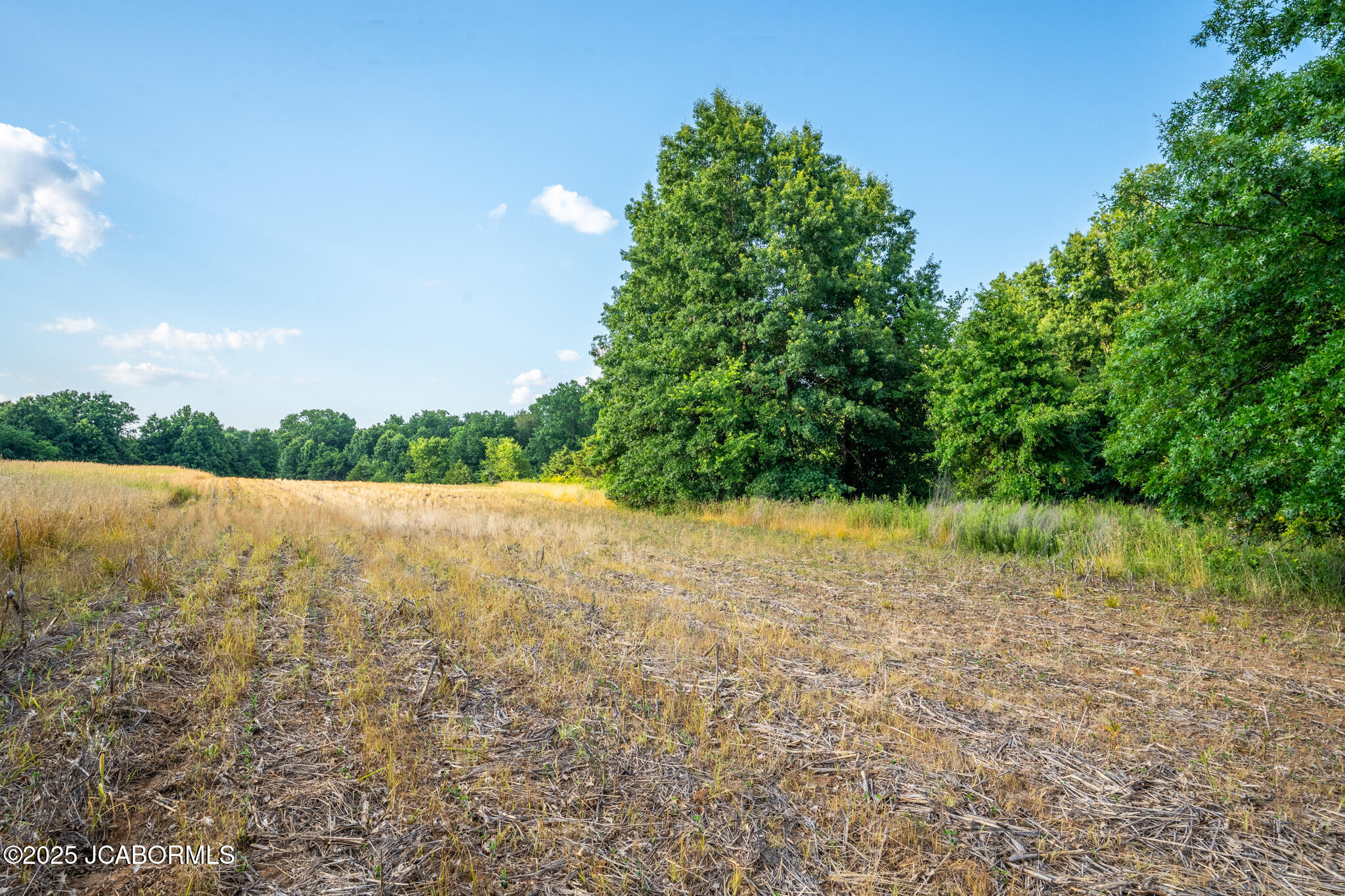 0 Audrain County Road Mexico, MO 65265 - Photo 5 of 12