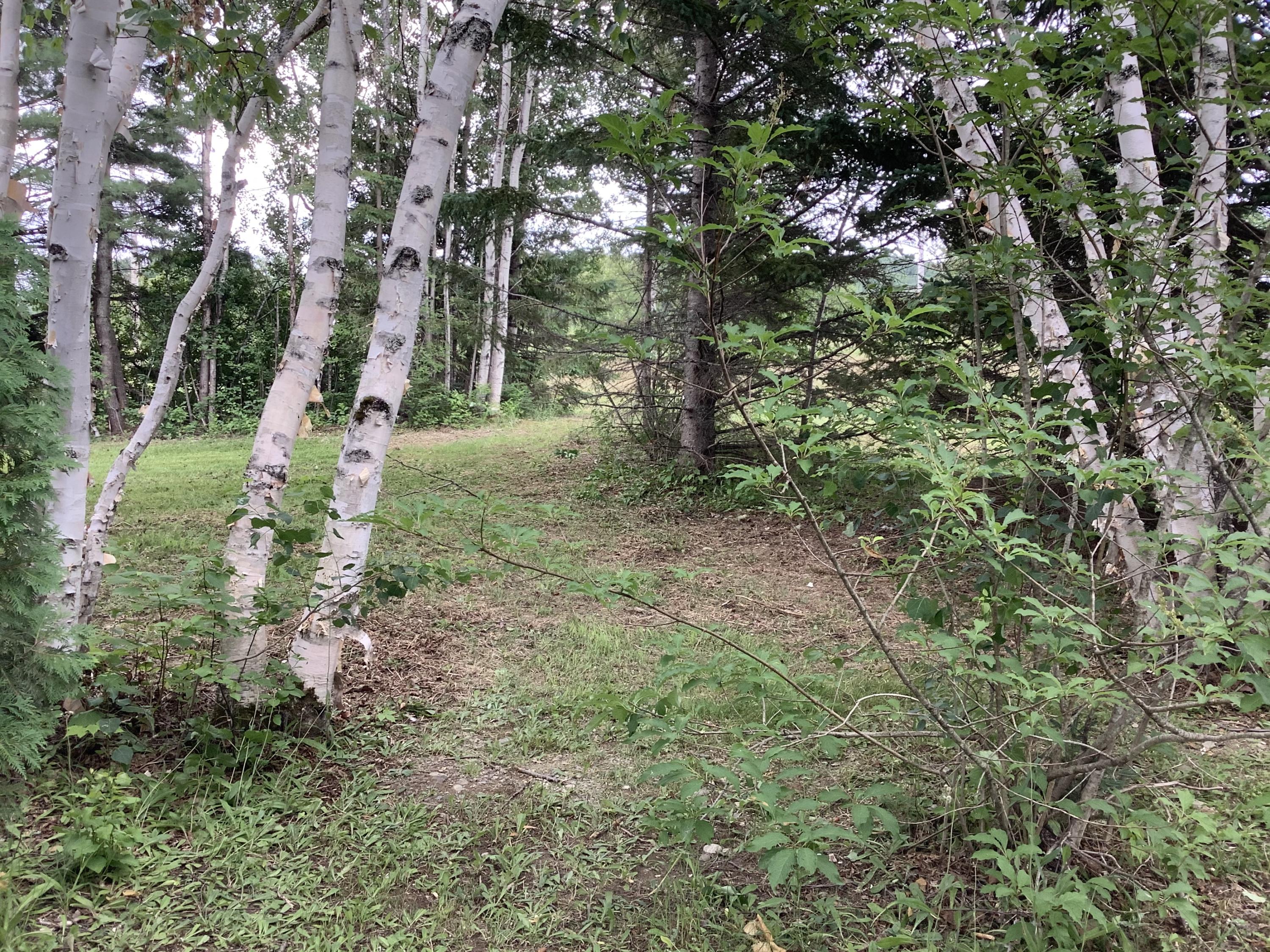 1780 Hamlin Road Van Buren, ME 04785 - Photo 10 of 61 79B29B6A-E71B-4961-BD32-8F14B655A9BF