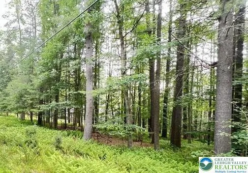 $14,500 | Lot 155 Tinkwig Drive, Hawley, PA 18428