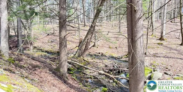 a view of a yard with plants and trees