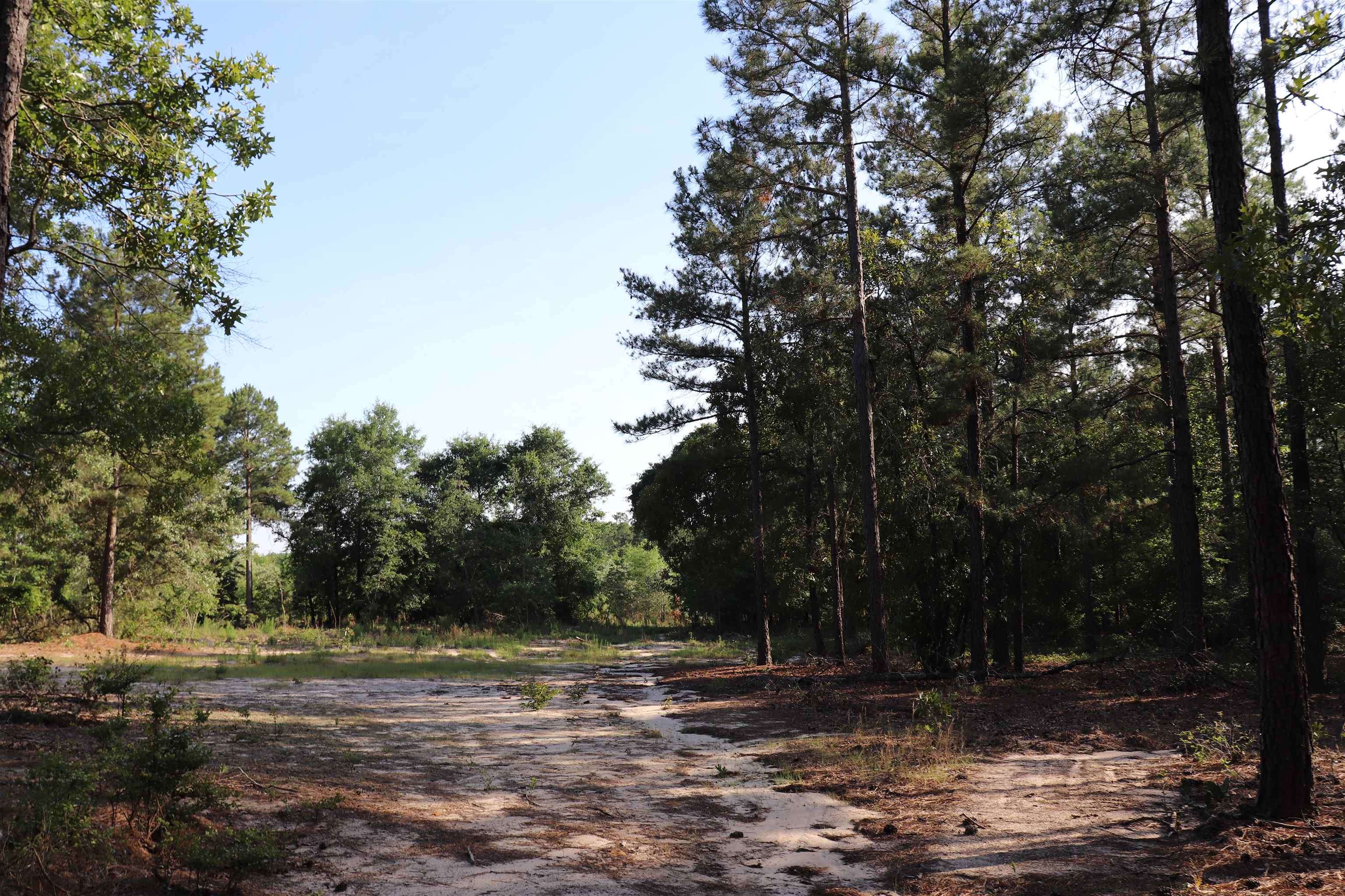 2631 Charlie Johnson Road Bethune, SC 29009 - Photo 23 of 29