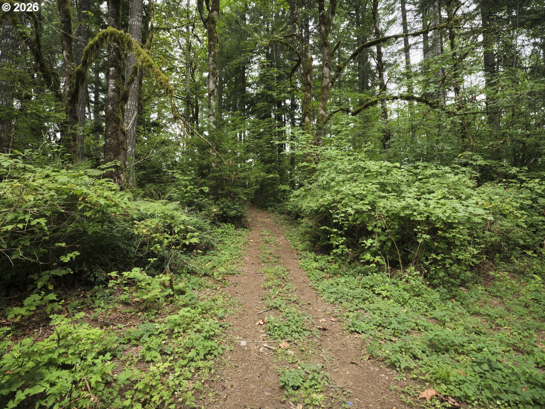 38610 Northeast Rotschy Road Yacolt, WA 98675 - Photo 13 of 39 Gallery Image 13