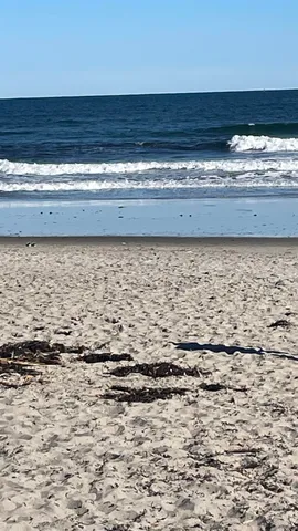 $895,900 | 51 Wallis Road, Rye, NH 03870