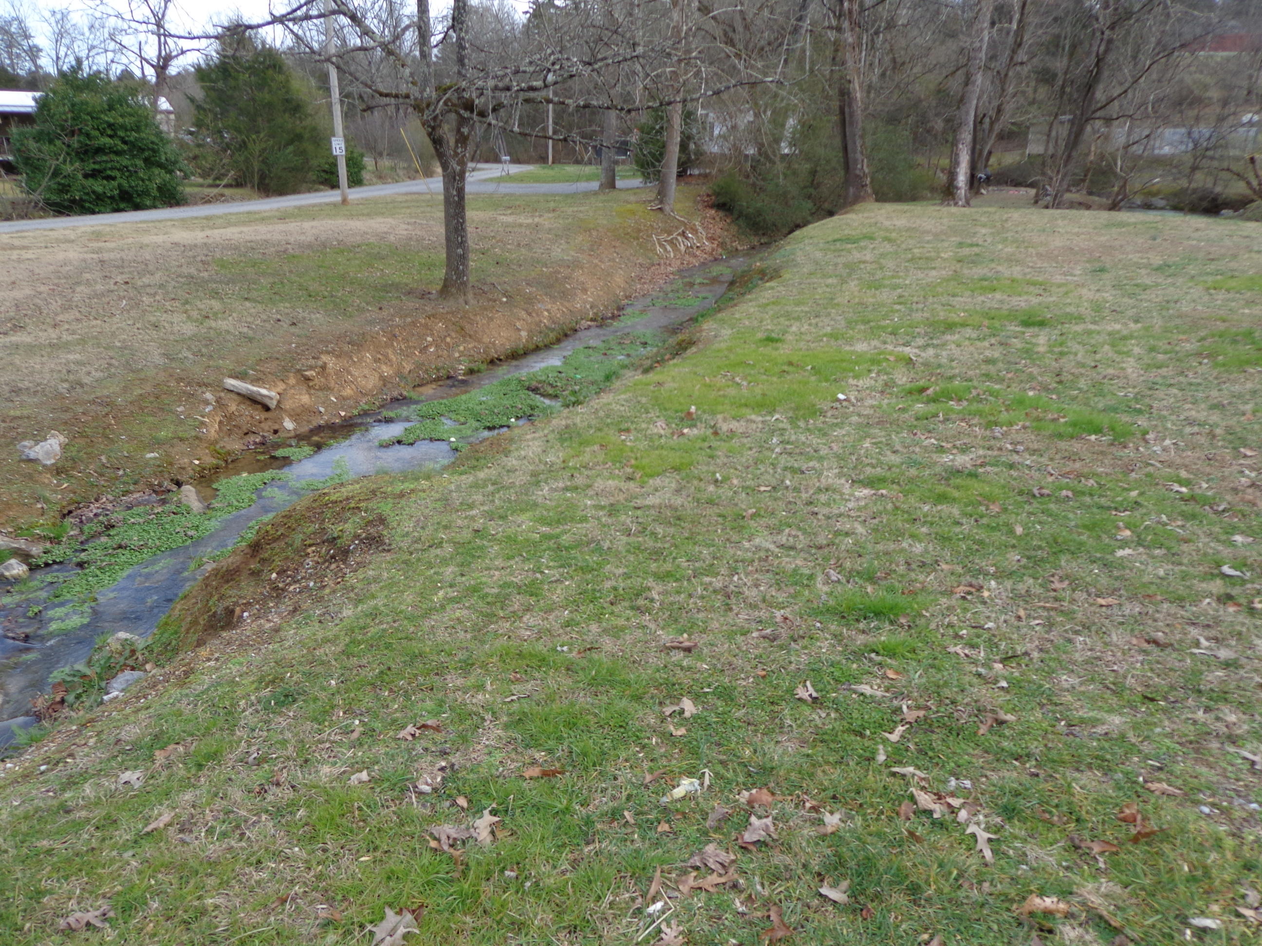 103 A Hannon Cemetery Road Newport, TN 37821 - Photo 3 of 30 DSC01647
