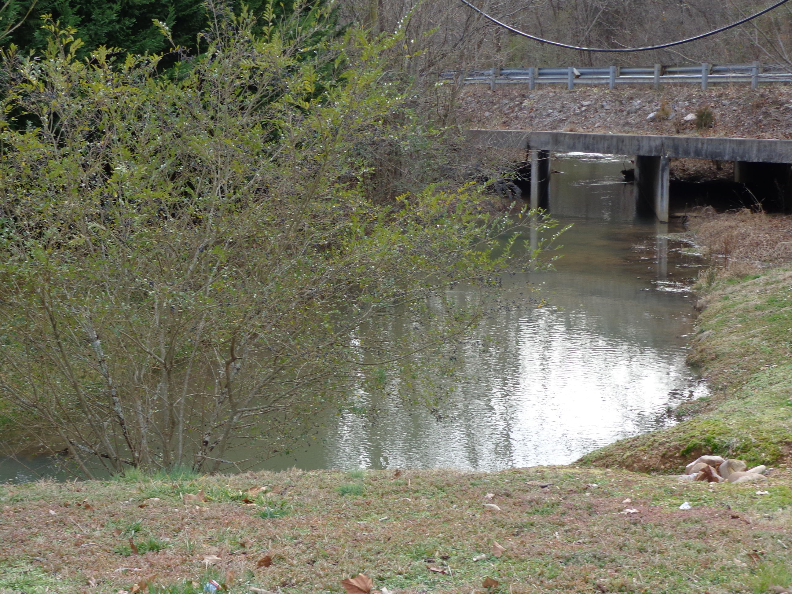 103 A Hannon Cemetery Road Newport, TN 37821 - Photo 4 of 30 DSC01649