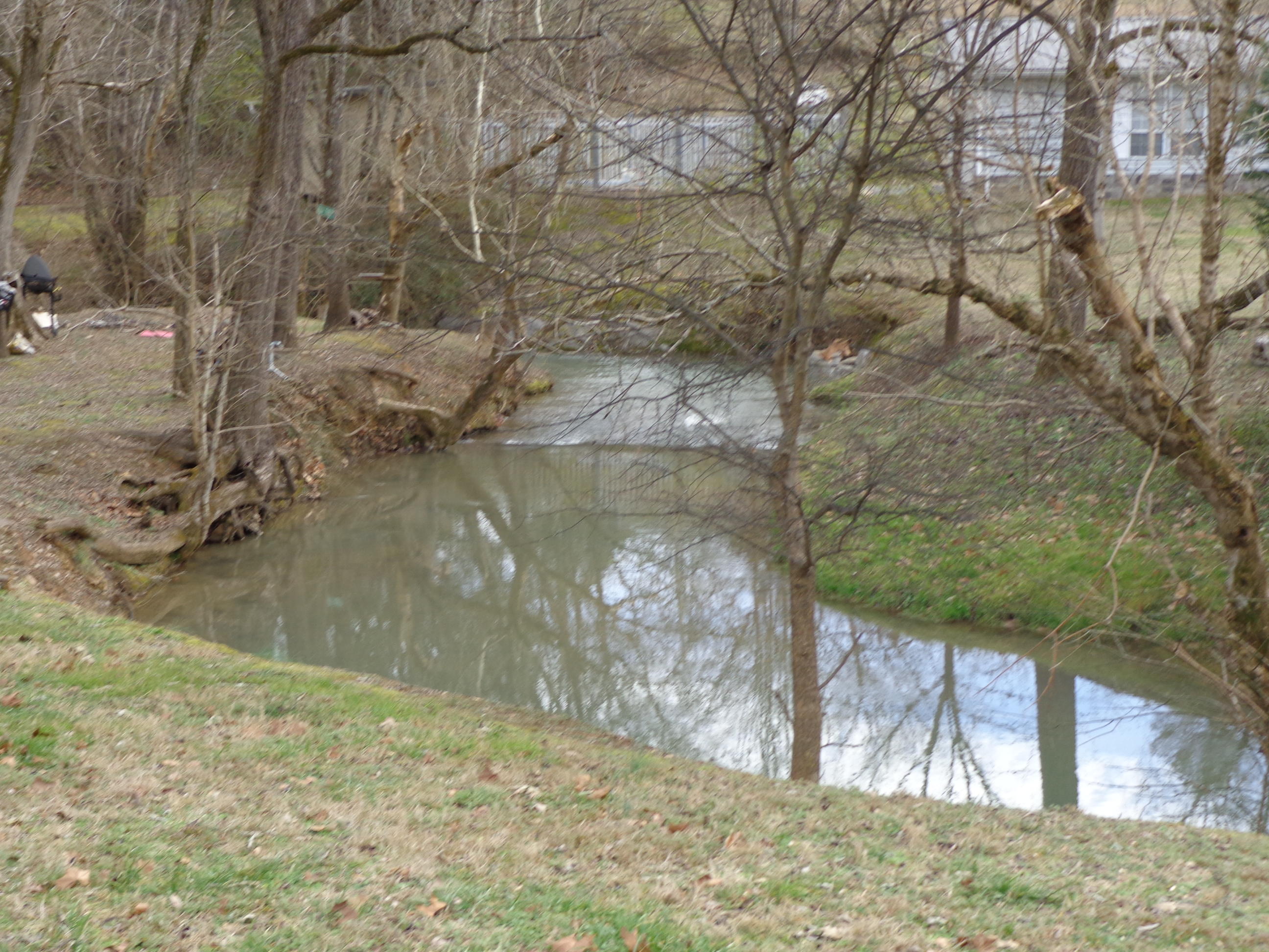 103 A Hannon Cemetery Road Newport, TN 37821 - Photo 5 of 30 DSC01650