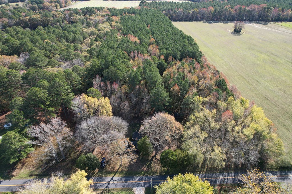 8-acres Redwood Road Onancock, VA 23417 - Photo 2 of 28