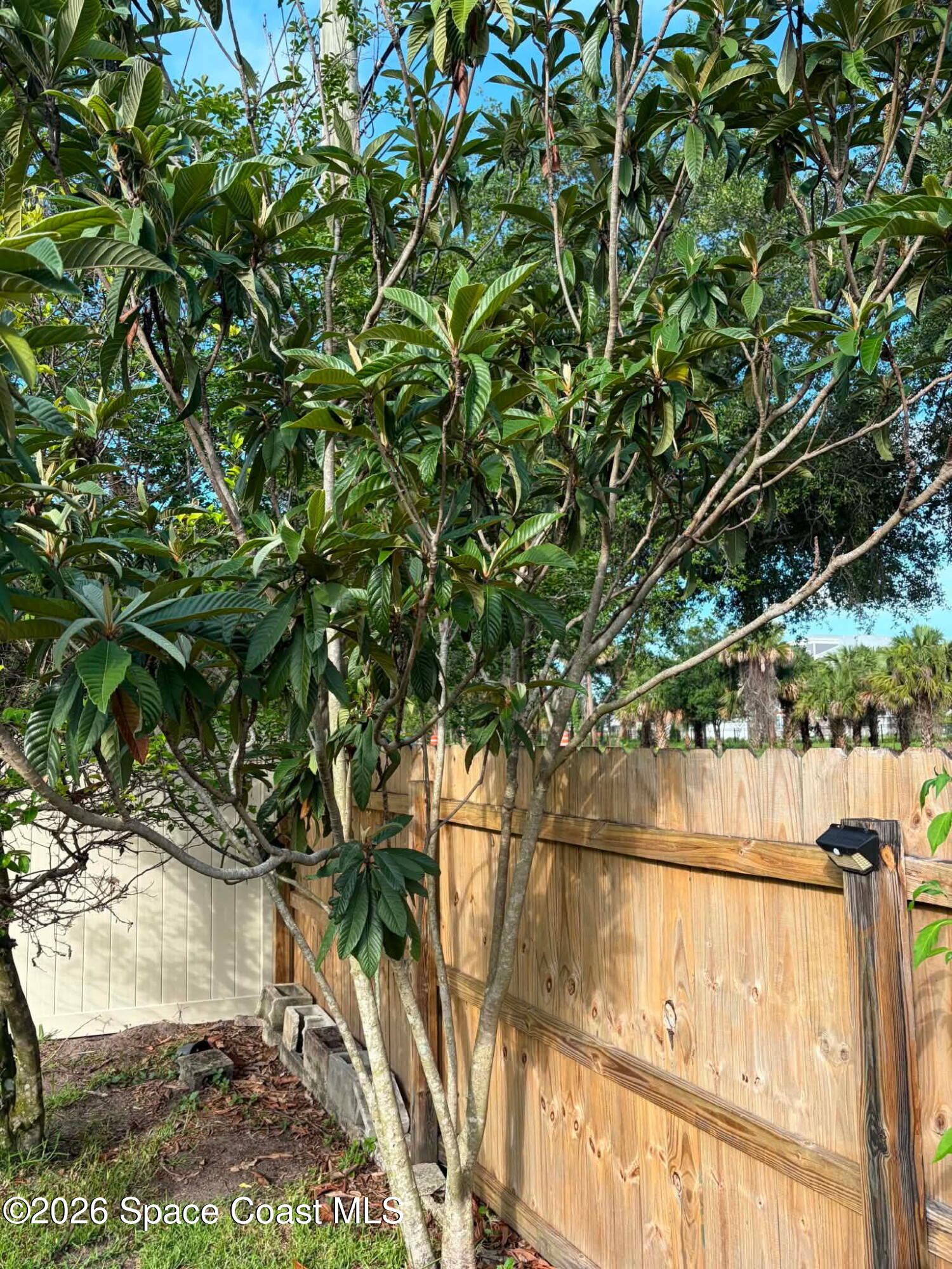 1835 Longleaf Road Cocoa, FL 32926 - Photo 49 of 55 6688