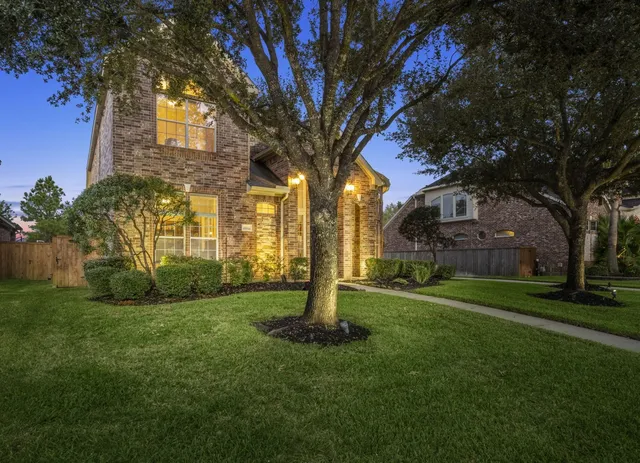 a view of a garden with a tree
