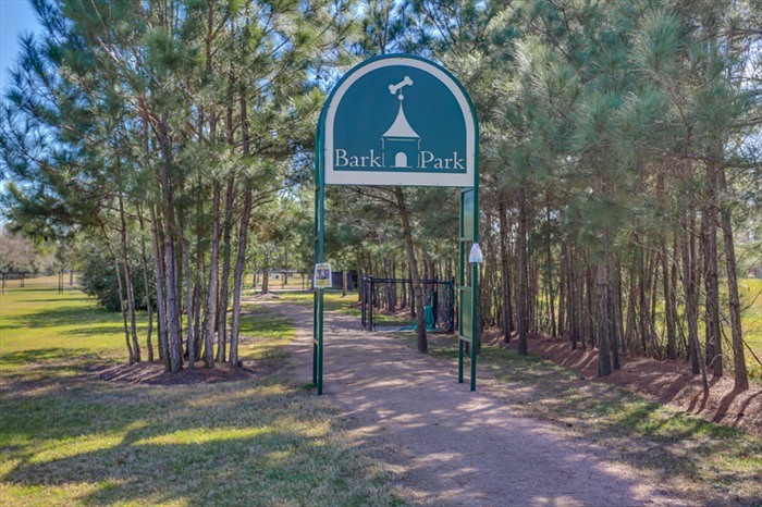 19902 Tidy Tips Lane Spring, TX 77379 - Photo 39 of 50 a view of a park with large trees