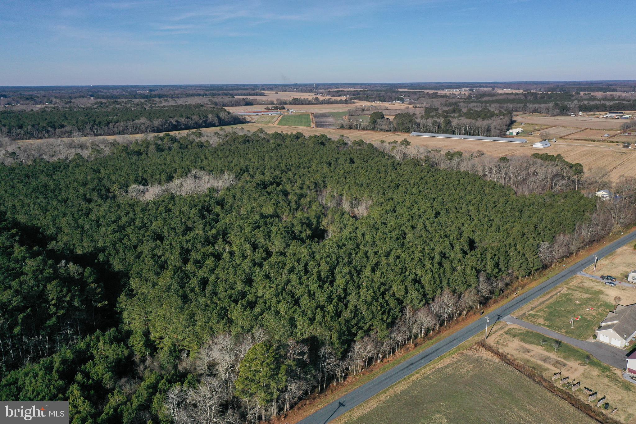 0 Bent Pine Road Willards, MD 21874 - Photo 2 of 7