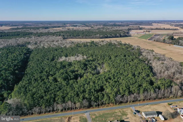 $389,000 | 0 Bent Pine Road, Willards, MD 21874