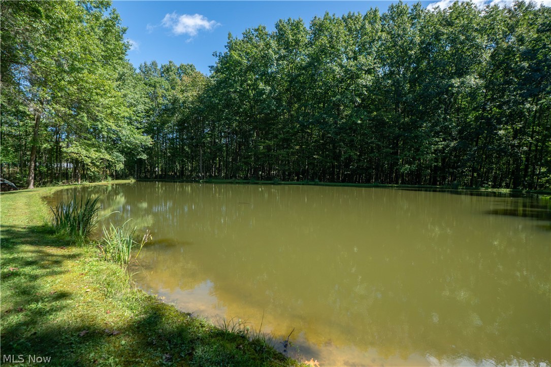 2332 Porter Road Atwater, OH 44201 - Photo 48 of 50 Stocked Pond!