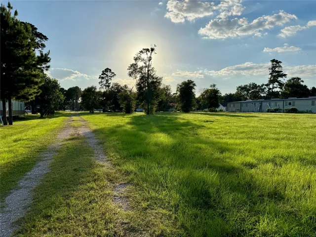 a view of a big yard with lots of green space and palm trees