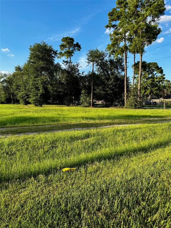 0 Hufsmith - Kohrville Road Tomball, TX 77375 - Photo 3 of 5 a view of a golf course with a garden