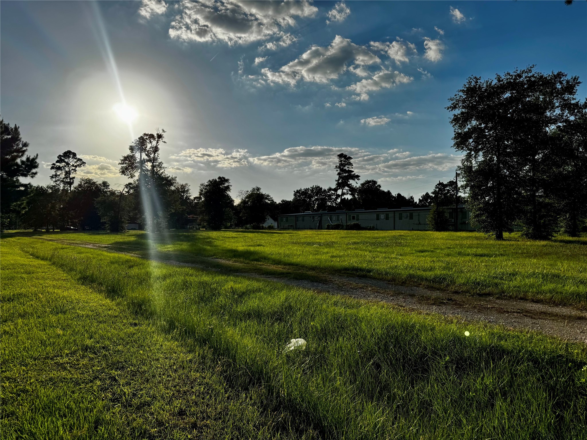 17205 Hufsmith - Kohrville Road Tomball, TX 77375 - Photo 5 of 5 a view of a golf course with a garden