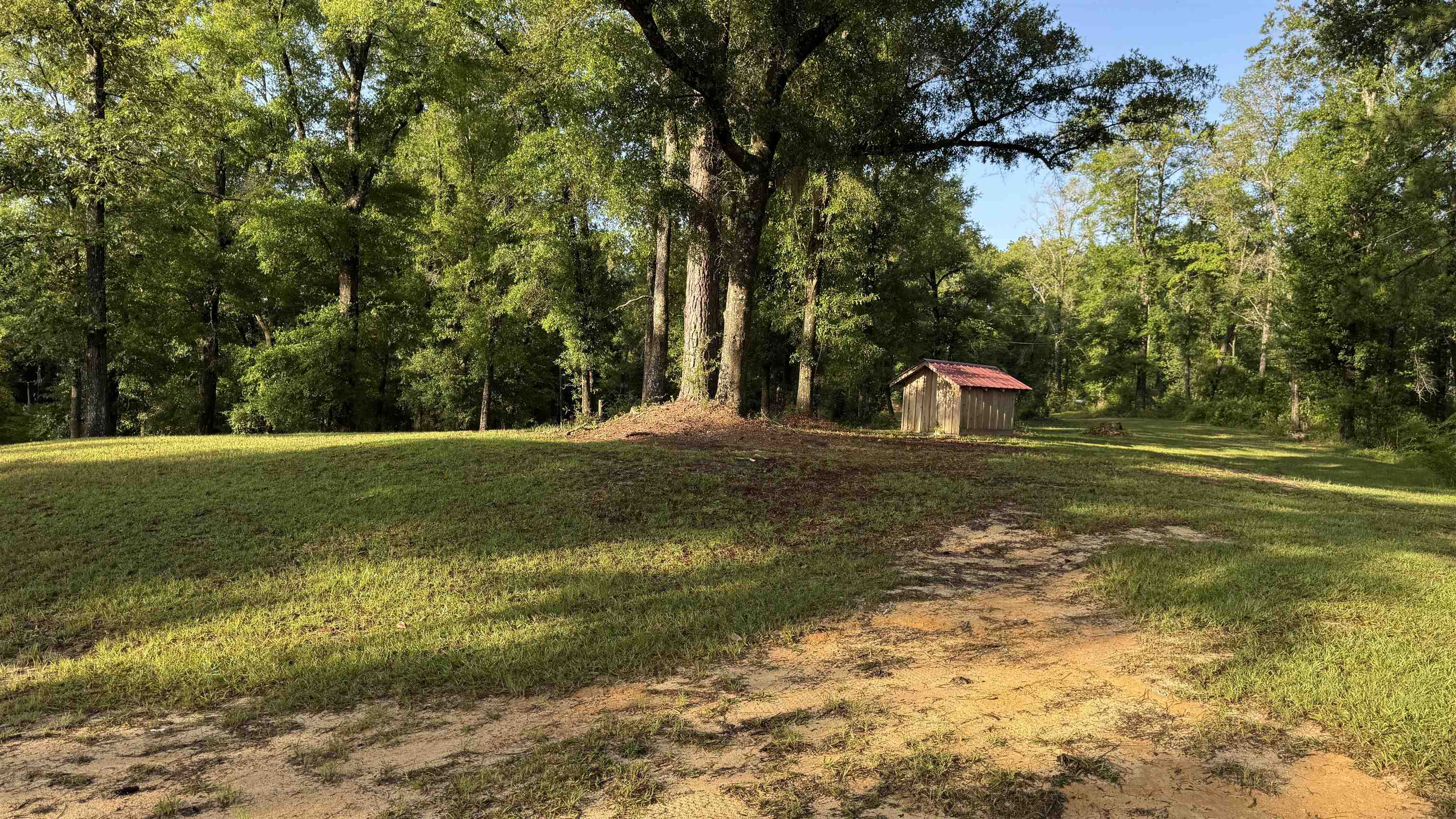 1050 Cedar Creek Landing Road Mount Vernon, AL 36560 - Photo 28 of 59 Yard