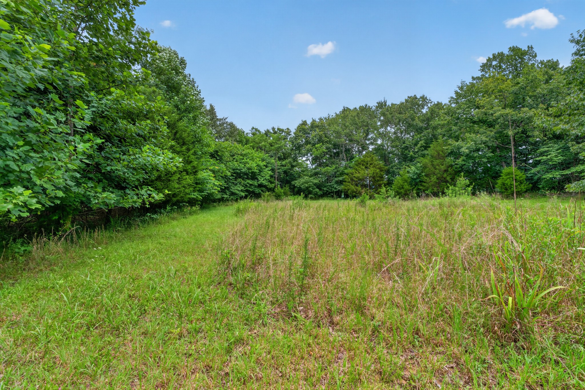 0 Eagle Cliff Road Monteagle, TN 37356 - Photo 17 of 26