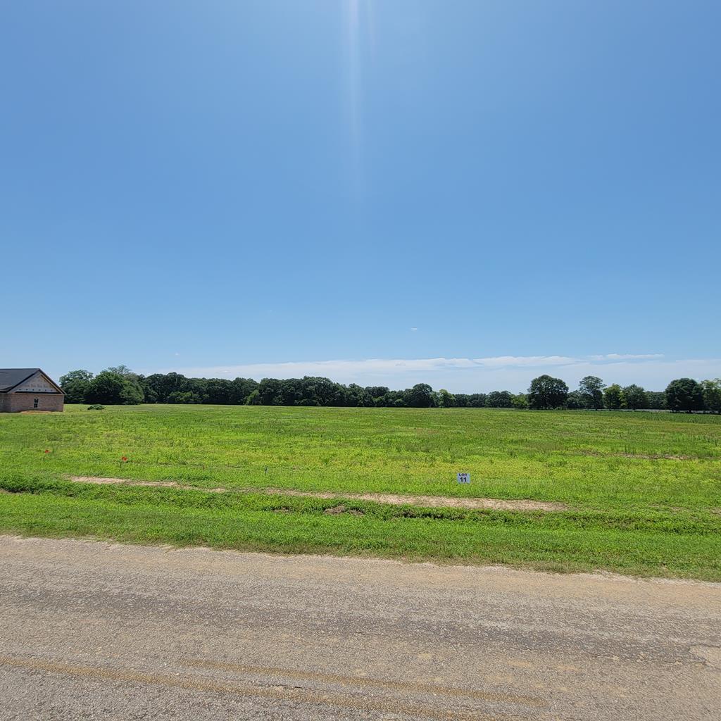 Lot 11 County Road 9 Newton, AL 36352 - Photo 12 of 12
