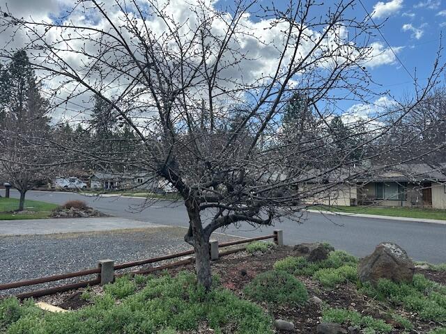 2188 Northeast Shepard Road Bend, OR 97701 - Photo 39 of 52 More photos to follow because this beautiful tree will be in full bloom soon, really adding to the curb appeal.