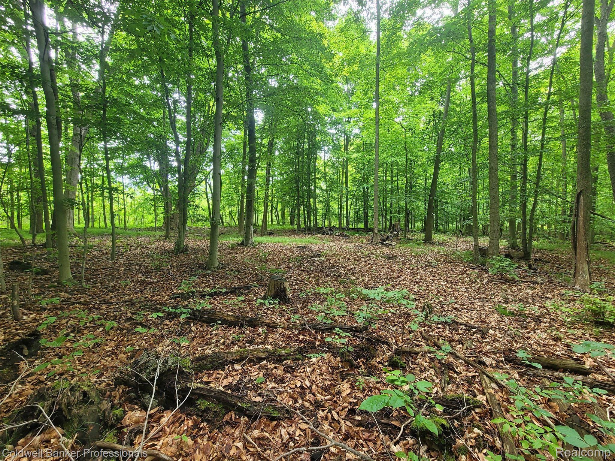 2709 Winslow Road Imlay City, MI 48444 - Photo 60 of 69 Gallery Image 60