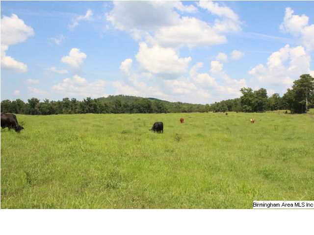 Mudd Street Lincoln, AL 35096 - Photo 24 of 32