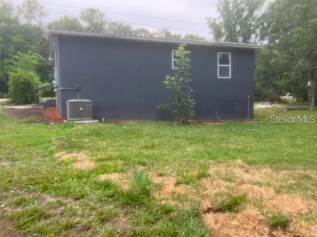 a view of a backyard with plants and large tree