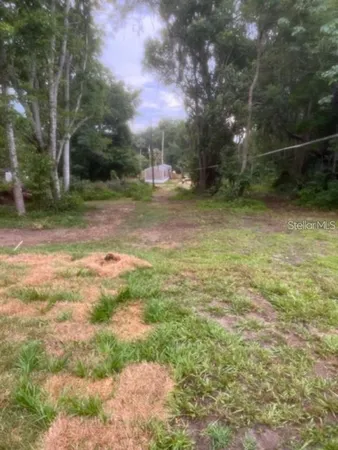 a view of a yard with trees