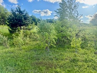 Ridgeview Road Norwich, NY 13815 - Photo 11 of 11