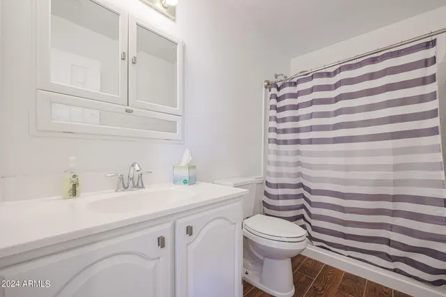 a bathroom with a sink a toilet and shower curtain