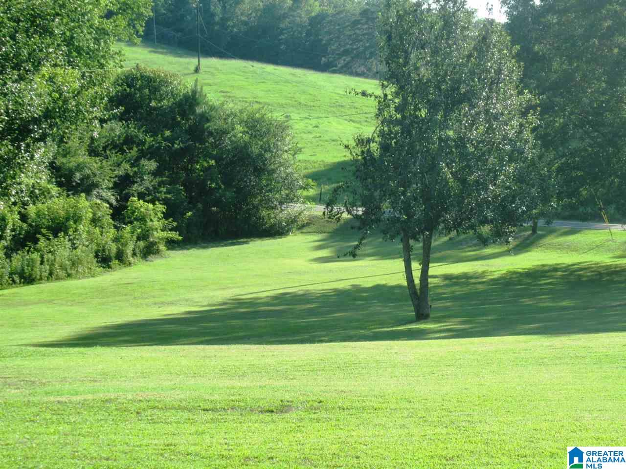 1548 Washington Valley Road Springville, AL 35146 - Photo 9 of 33 Gallery Image 9