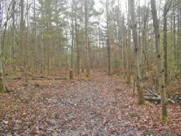 0 Bull Creek Road Whitney Point, NY 13862 - Photo 1 of 6 Gallery Image 1