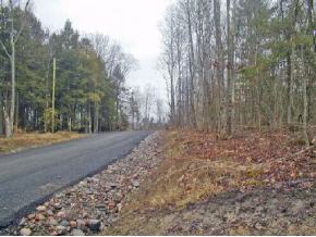 0 Bull Creek Road Whitney Point, NY 13862 - Photo 2 of 6 Gallery Image 2