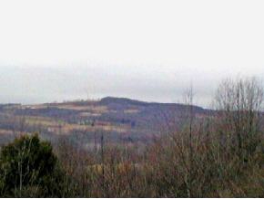 0 Bull Creek Road Whitney Point, NY 13862 - Photo 3 of 6 Gallery Image 3