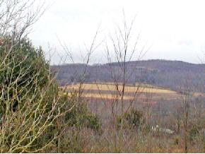 0 Bull Creek Road Whitney Point, NY 13862 - Photo 4 of 6 Gallery Image 4